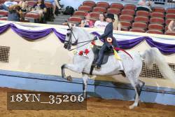 18YN_35206 thumbnail