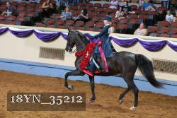 18YN_35212 thumbnail