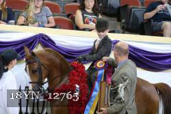 18YN_12765 thumbnail