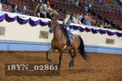 18YN_02861 thumbnail