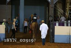 18YN_02919 thumbnail