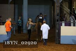 18YN_02920 thumbnail