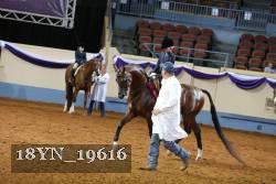 18YN_19616 thumbnail