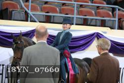 18YN_07660 thumbnail