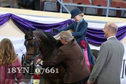 18YN_07661 thumbnail