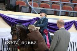 18YN_07662 thumbnail