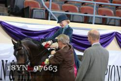 18YN_07663 thumbnail