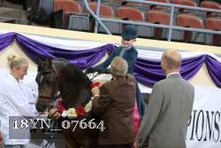 18YN_07664 thumbnail