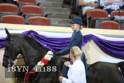 18YN_11188 thumbnail