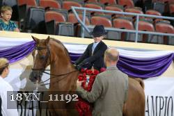 18YN_11192 thumbnail