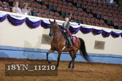 18YN_11210 thumbnail