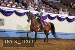 18YN_11211 thumbnail