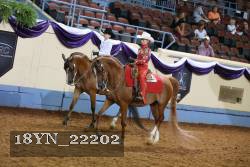 18YN_22202 thumbnail