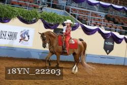 18YN_22203 thumbnail