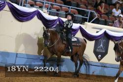 18YN_22204 thumbnail