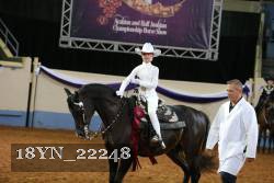 18YN_22248 thumbnail