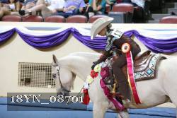 18YN_08701 thumbnail