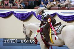 18YN_08703 thumbnail