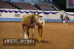 18YN_07361 thumbnail