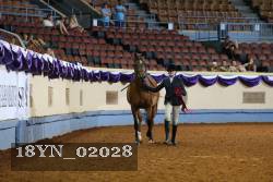18YN_02028 thumbnail