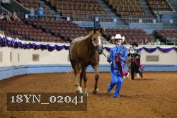 18YN_02041 thumbnail
