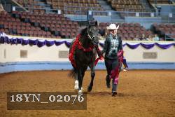 18YN_02076 thumbnail