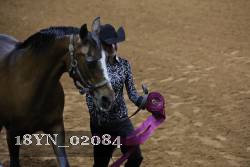 18YN_02084 thumbnail