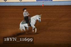 18YN_11699 thumbnail