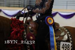 18YN_21432 thumbnail