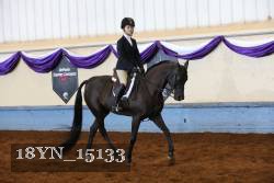 18YN_15133 thumbnail