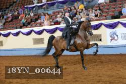 18YN_00644 thumbnail