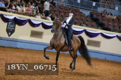18YN_06715 thumbnail