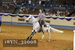18YN_32008 thumbnail