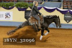 18YN_32096 thumbnail
