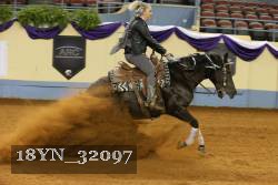 18YN_32097 thumbnail