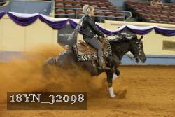 18YN_32098 thumbnail