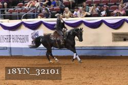18YN_32101 thumbnail