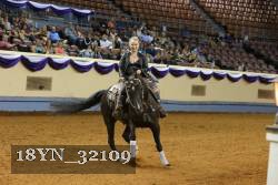 18YN_32109 thumbnail