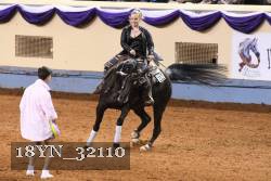 18YN_32110 thumbnail