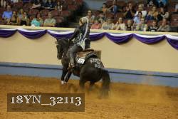 18YN_32113 thumbnail