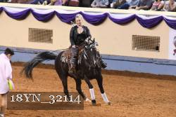 18YN_32114 thumbnail