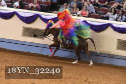 18YN_32240 thumbnail