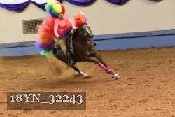 18YN_32243 thumbnail