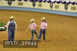 18YN_32244 thumbnail