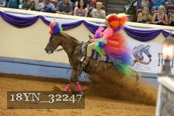 18YN_32247 thumbnail