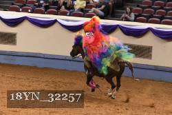18YN_32257 thumbnail