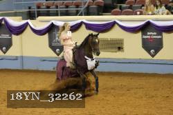 18YN_32262 thumbnail