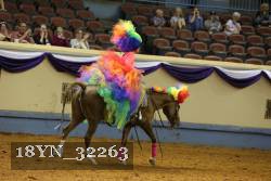 18YN_32263 thumbnail