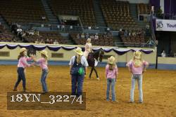 18YN_32274 thumbnail