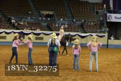 18YN_32275 thumbnail